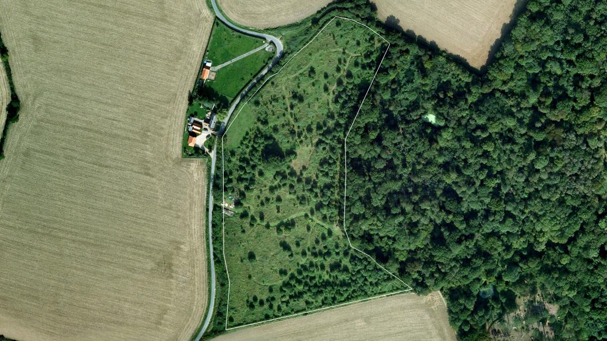 sattelite image of fields