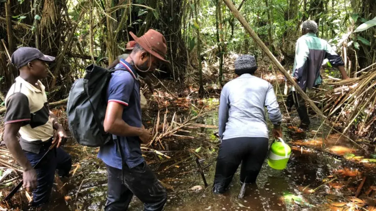 fieldwork shot