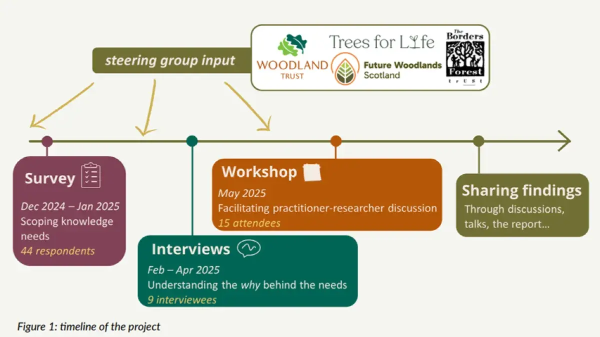 timeline of the project image