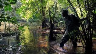 Ranger going through the forest in Sierra Leon