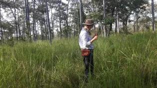 Person in grass doing fieldwork