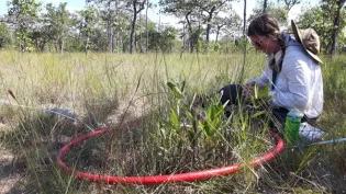 Researcher in the field