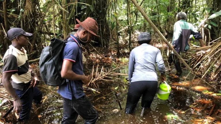 fieldwork shot
