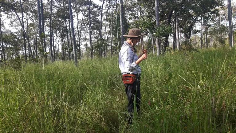 Person in grass doing fieldwork