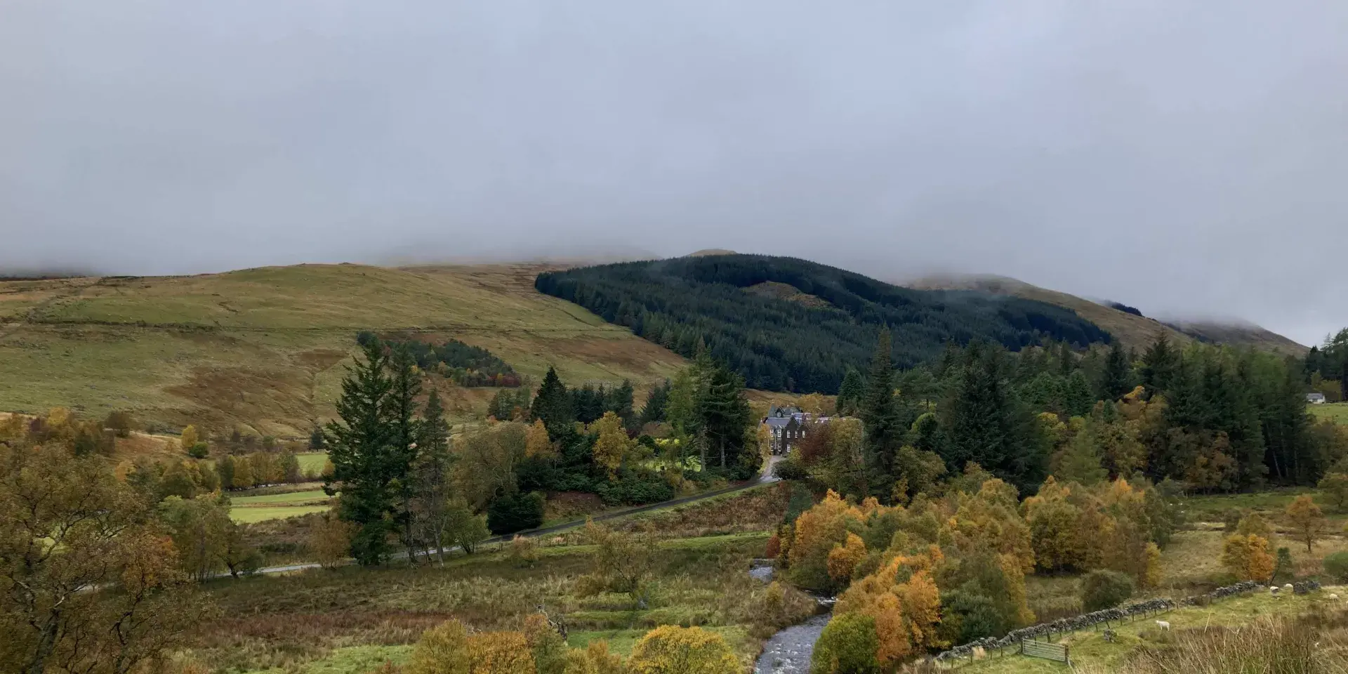 landscape
