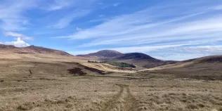 image of grassy landscape against blue sky