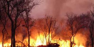 Forest fire in Africa