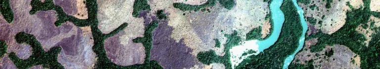 Decorative banner, shows a landscape with rock, tree and water from the air directly above.