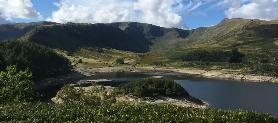 landscape