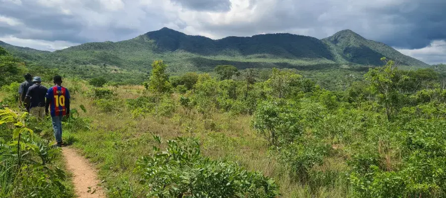 landscape in Zimbabwe