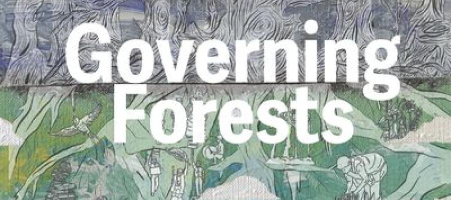 Book cover for Governing Forests