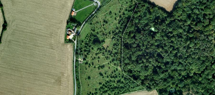 satellite image of a landscape with fields