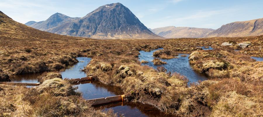 scottish peatland
