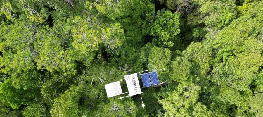 satellite image of amazon rainforest