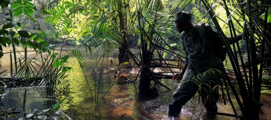Ranger going through the forest in Sierra Leon