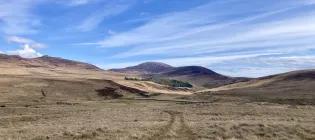 image of grassy landscape against blue sky