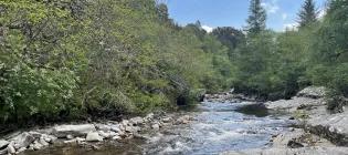 Photo of stream surrounded by forest in the US