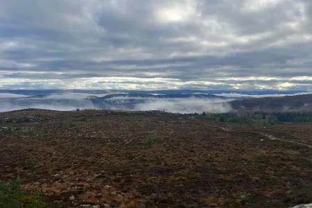 image of highland heathland