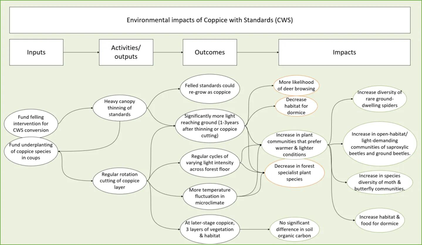 Theory of change diagram