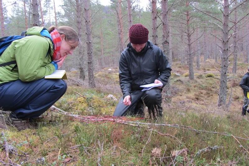 students in forest